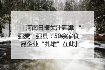 河南日报关注延津 “强麦”强县：50余家食品企业“扎堆”在此