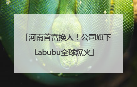 河南首富换人！公司旗下Labubu全球爆火