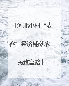 河北小村“麦客”经济铺就农民致富路