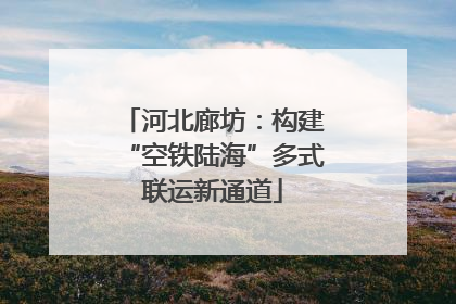 河北廊坊：构建“空铁陆海”多式联运新通道