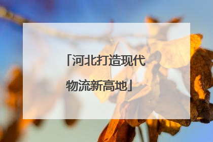 河北打造现代物流新高地