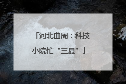 河北曲周：科技小院忙“三夏”