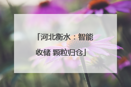 河北衡水：智能收储 颗粒归仓