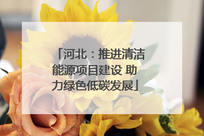 河北：推进清洁能源项目建设 助力绿色低碳发展
