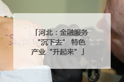 河北：金融服务“沉下去” 特色产业“升起来”
