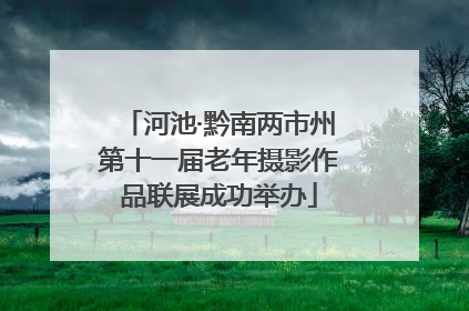 河池·黔南两市州第十一届老年摄影作品联展成功举办