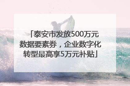 泰安市发放500万元数据要素券，企业数字化转型最高享5万元补贴