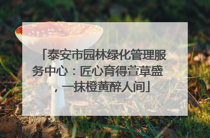 泰安市园林绿化管理服务中心：匠心育得萱草盛，一抹橙黄醉人间