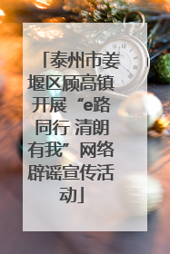泰州市姜堰区顾高镇开展“e路同行 清朗有我”网络辟谣宣传活动