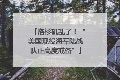 洛杉矶乱了！“美国现役海军陆战队正高度戒备”