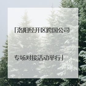 洛阳经开区跨国公司专场对接活动举行