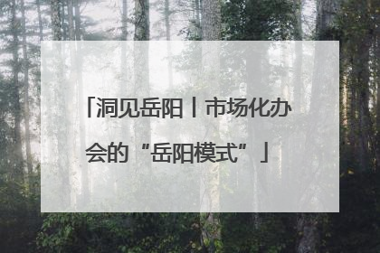 洞见岳阳丨市场化办会的“岳阳模式”