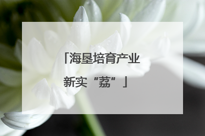 海垦培育产业新实“荔”