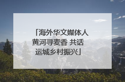 海外华文媒体人黄河寻麦香 共话运城乡村振兴