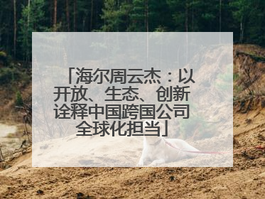海尔周云杰：以开放、生态、创新诠释中国跨国公司全球化担当
