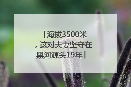 海拔3500米，这对夫妻坚守在黑河源头19年
