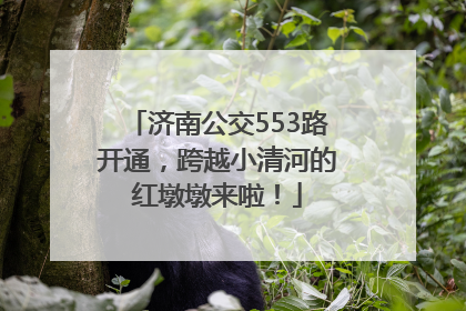 济南公交553路开通，跨越小清河的红墩墩来啦！