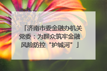 济南市委金融办机关党委：为群众筑牢金融风险防控“护城河”