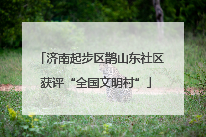 济南起步区鹊山东社区获评“全国文明村”