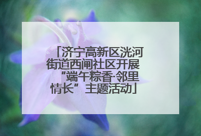 济宁高新区洸河街道西闸社区开展“端午粽香·邻里情长”主题活动