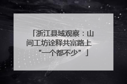 浙江县域观察：山间工坊诠释共富路上“一个都不少”