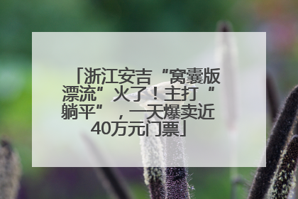 浙江安吉“窝囊版漂流”火了！主打“躺平”，一天爆卖近40万元门票