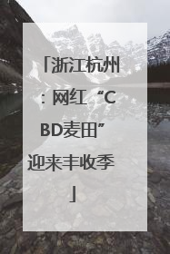 浙江杭州：网红“CBD麦田”迎来丰收季