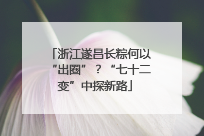 浙江遂昌长粽何以“出圈”？“七十二变”中探新路