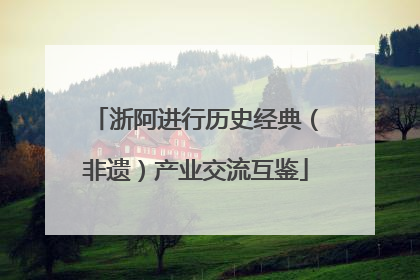浙阿进行历史经典（非遗）产业交流互鉴
