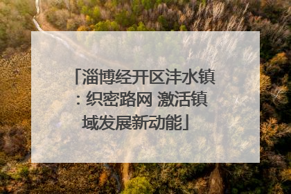 淄博经开区沣水镇：织密路网 激活镇域发展新动能