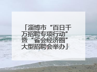 淄博市“百日千万招聘专项行动”暨“省会经济圈”大型招聘会举办