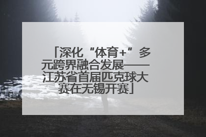 深化“体育+”多元跨界融合发展——江苏省首届匹克球大赛在无锡开赛