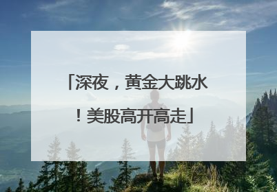深夜，黄金大跳水！美股高开高走