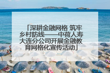 深耕金融网格 筑牢乡村防线——中荷人寿大连分公司开展金融教育网格化宣传活动