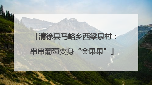 清徐县马峪乡西梁泉村：串串葡萄变身“金果果”