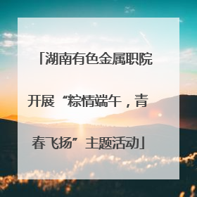 湖南有色金属职院开展“粽情端午，青春飞扬”主题活动