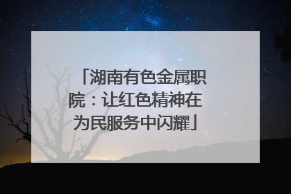 湖南有色金属职院：让红色精神在为民服务中闪耀