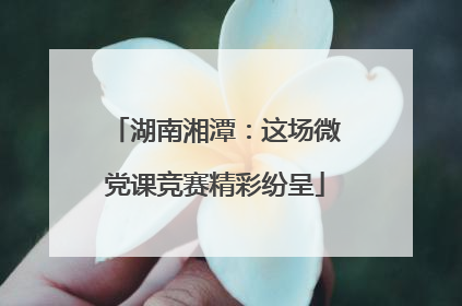 湖南湘潭：这场微党课竞赛精彩纷呈