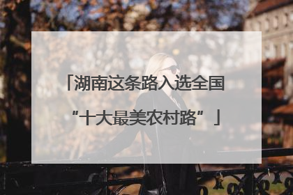 湖南这条路入选全国“十大最美农村路”