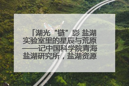 湖光“链”影 盐湖实验室里的星辰与荒原——记中国科学院青海盐湖研究所，盐湖资源化学实验室党总支书记、副主任刘忠