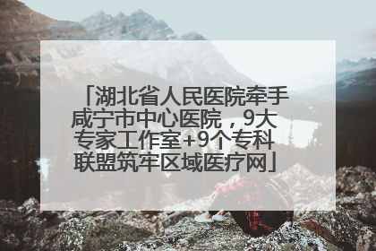 湖北省人民医院牵手咸宁市中心医院，9大专家工作室+9个专科联盟筑牢区域医疗网