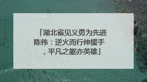 湖北省见义勇为先进陈伟：逆火而行伸援手，平凡之躯亦英雄
