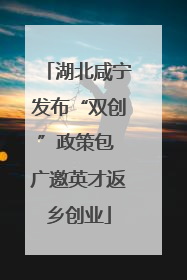 湖北咸宁发布“双创”政策包 广邀英才返乡创业