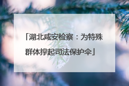 湖北咸安检察：为特殊群体撑起司法保护伞
