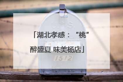 湖北孝感：“桃”醉盛夏 味美杨店