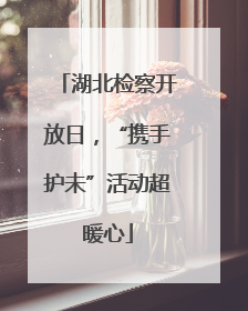 湖北检察开放日，“携手护未”活动超暖心