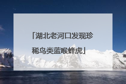湖北老河口发现珍稀鸟类蓝喉蜂虎