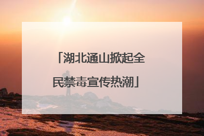 湖北通山掀起全民禁毒宣传热潮