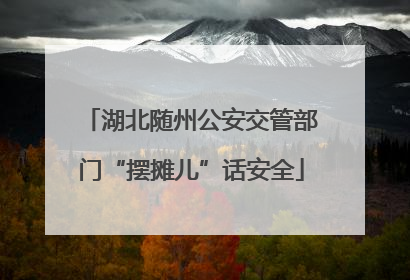 湖北随州公安交管部门“摆摊儿”话安全