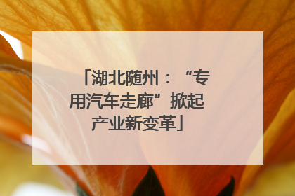 湖北随州：“专用汽车走廊”掀起产业新变革
